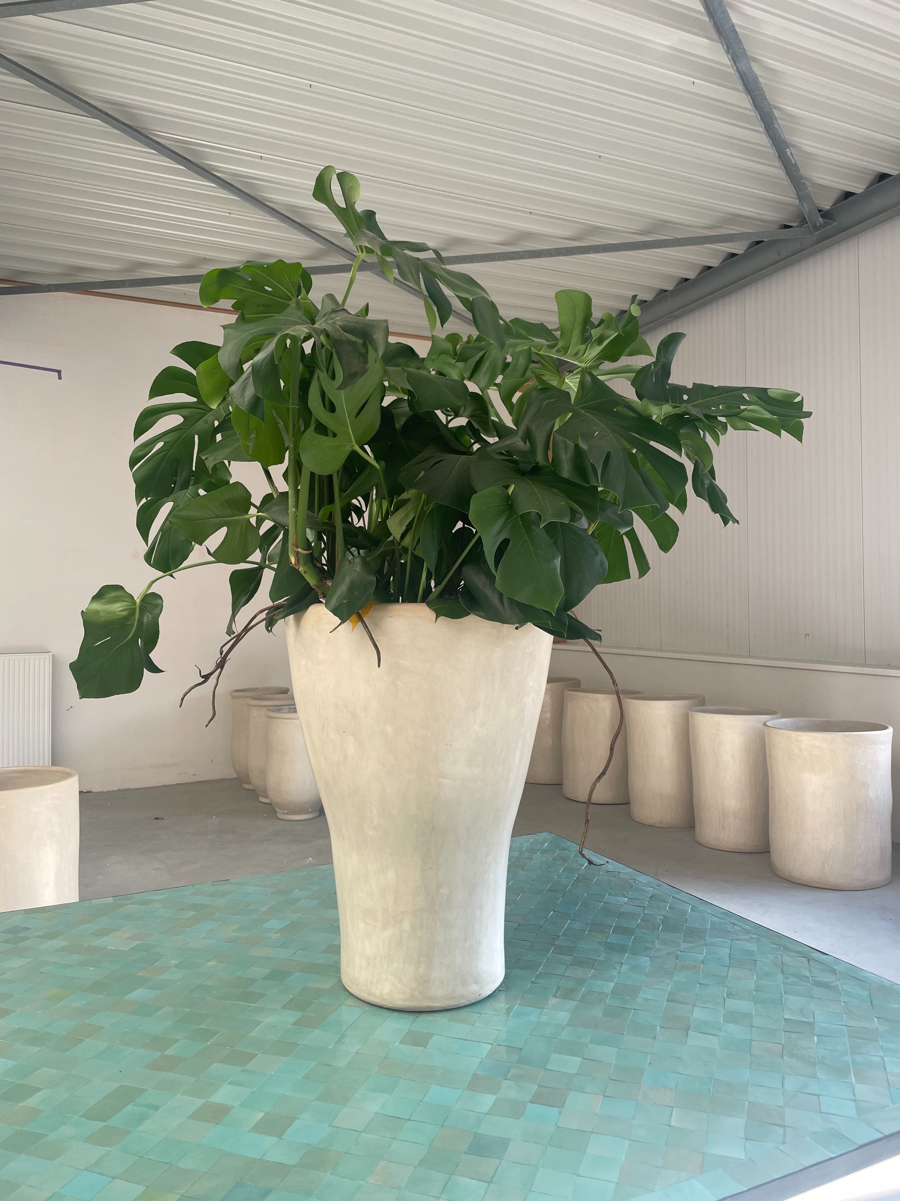 Amara Tadelakt Naturel - Xtra Large